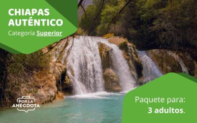 Chiapas Auténtico para 3 adultos – Categoría Superior.