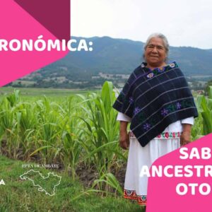 RUTA GASTRONÓMICA: SABORES ANCESTRALES OTOMÍES